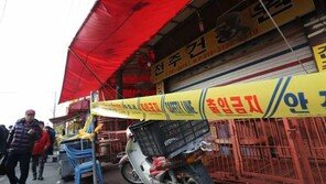 개에서 AI 바이러스 검출, 지난해 3월 충남 천안이 국내 최초