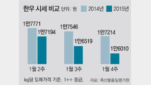 사육 소 줄었어도 한우값 하락