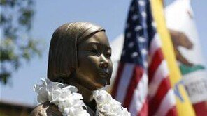 미국 역사학자들 집단성명, 일본 역사 왜곡 시도 비판