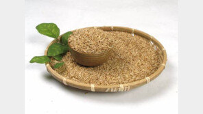 장윤정 출산 후 다이어트 도운 1등 공신...슈퍼푸드 귀리 효능 눈길