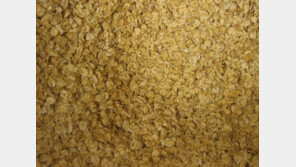 귀리의 효능, 이 정도였어?