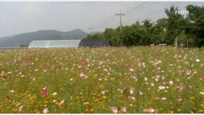 올해 서울 개최 예정 축제, 무려 134개?