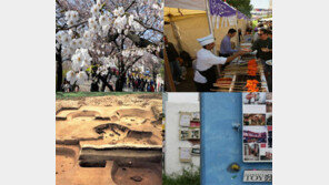 [올해 서울 개최 예정 축제] 이태원 지구촌 축제-도심 속 바다축제 기대하세요