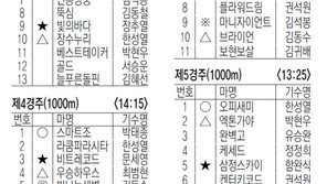 2월 7일, 8일 경마 출마표