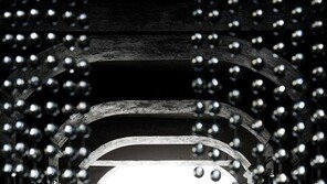 배우 조재윤 결혼, 하객 중엔 걸스데이도…“오늘 영화 속 주인공 된 것 같다”