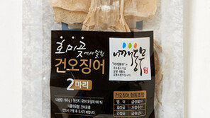 ‘어깨동무 건오징어 협동조합’ 출범