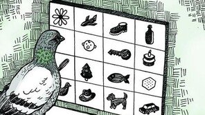 비둘기의 학습법… “어린이의 학습법, 다른 종들도 공유”