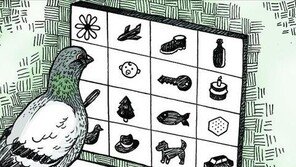 비둘기의 학습법, 인간 특유의 학습방법…‘동물도 갖고 있어’