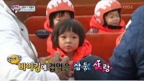 ‘슈퍼맨이돌아왔다’ 삼둥이, 바이킹 높이에 ‘굳은 표정’