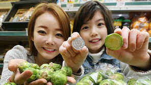 동전 크기 양배추, "초미니 양배추, 사실 슈퍼푸드 였구나!"