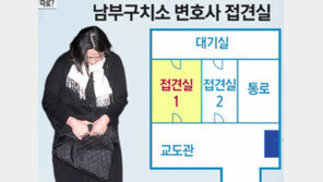 조현아, 구치소 접견실 장시간 사용? 특수한 사정 해명 