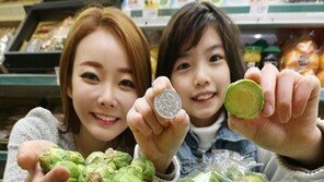 동전 크기 양배추, 작고 귀여운 크기… 효능에 더욱 놀라