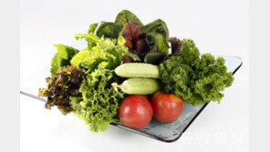 당뇨환자에 좋은 식품은 무엇?…‘이것’은 매 끼니 챙겨야