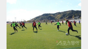 이상 한파에도 식지않는 ‘가고시마 캠프’ 열기