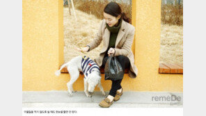 [라메드] (에디터 체험기) “유기견 봉사활동 어렵지 않아요”