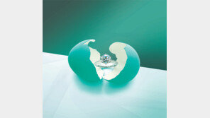 [Q매거진/Cover Story]평생 기억될 그날, 손끝으로 전하는 사랑의 약속