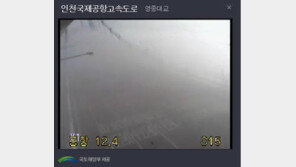 영종대교, 추정 60중 추돌사고 발생… 현재 영종대교 가시거리 50m ↓