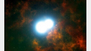 포착된 쌍둥이 백색왜성, ‘Ia형 초신성’ 이론의 증거 될까?