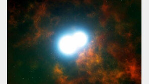 쌍둥이 백색왜성 포착 “이론에 불과, 실제 증명했다”… 네이쳐지 게재