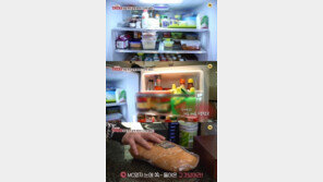 레이먼킴 김지우, 신혼집 공개… 냉장고 속 재료들 ‘대박’