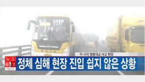 영종대교 100중 추돌 교통사고… 참사 막을 방법 없었나?