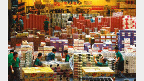 과일 값 대 폭락, ‘배·감귤·사과’ 등 전년 동기 10~ 41%p 폭락