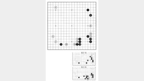 [바둑]제58기 국수전… 유행 정석