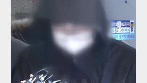 크림빵 뺑소니 피의자, 뒤늦은 자백 “사고 당시 사람인 줄 알았지만 무서워 도주”