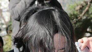 땅콩회항 조현아 오늘 선고, 항공기항로변경죄 유죄 인정되면 집행유예 어려워?