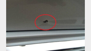 ‘고압세차’ 피해 속출…국산·수입車 예외 없어 