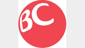 비씨카드 전산장애, 10분 만에 정상화 “회선 일시적 몰려 승인 지연”