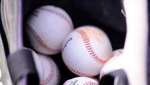 부산자이언츠협동조합, 입장권 검은 유혹