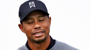 몸도 마음도 안되네…