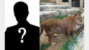 어린이대공원 사육사, 사자에 물려 사망… 목 상처, 치명적 원인