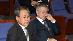 [뉴스분석]총리인준도 여론조사로 하자는 문재인