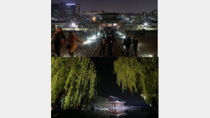 설날 경복궁 무료 입장, 궁궐-종묘-왕릉 개방…“남녀노소 즐겁네 유후!”