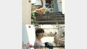 ‘해피투게더’ 구혜선, 애완동물 10마리 사는 200평 단독주택? 실제로 보니 ‘깜짝’