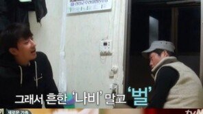 ‘삼시세끼’ 고양이 이름은 나비 아닌 벌(bee)! 귀여움 ‘뚝뚝’