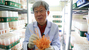 [오늘의 채널A] 면역력 높여주는 전설의 불로초