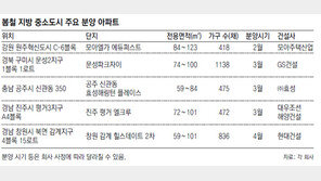 지방 분양대목… 귀성길에 둘러볼까