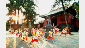 모두투어, 부산출발 정주 전세기상품 출시