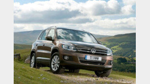 폴크스바겐, 주행 중 시동 꺼짐 “리콜안한 속사정은?”