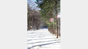 설 연휴기간 가족과 함께 걷기좋은 탐방지 10곳