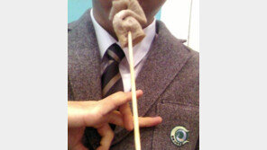 일베 어묵 피의자 母 “못난 자식 둔 못난 엄마… 진심으로 죄송”