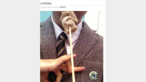 [전문] 일베 어묵 피의자 어머니 “세월호 희생자 모독 사죄드린다”