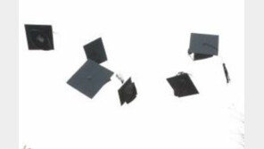 석 박사 여성 결혼할 확률… 누리꾼 "주위를 보니 맞는말 같아요"