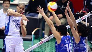 레오 서브에이스만 5개, 대한항공 추격의지 꺾다