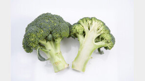 ‘척추의 적’ 비만 잡는 토마토