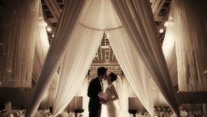 석 박사 여성 결혼할 확률, 대졸에 비해 58.3% 낮아?… ‘충격’