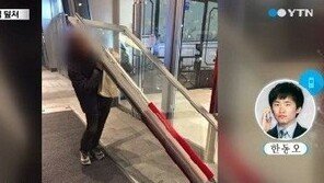 제2롯데월드 출입문 이탈, "재개장 바라는 시점에서 사고나 난처"